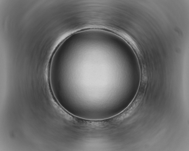 X0000112540958200908171439