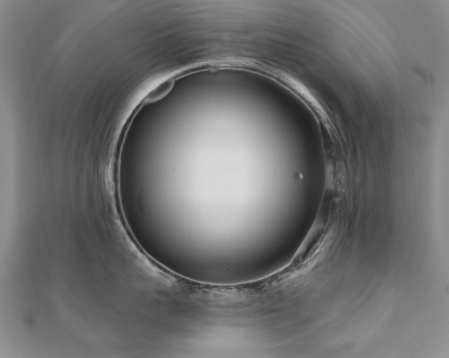 X0000112540959200908171439