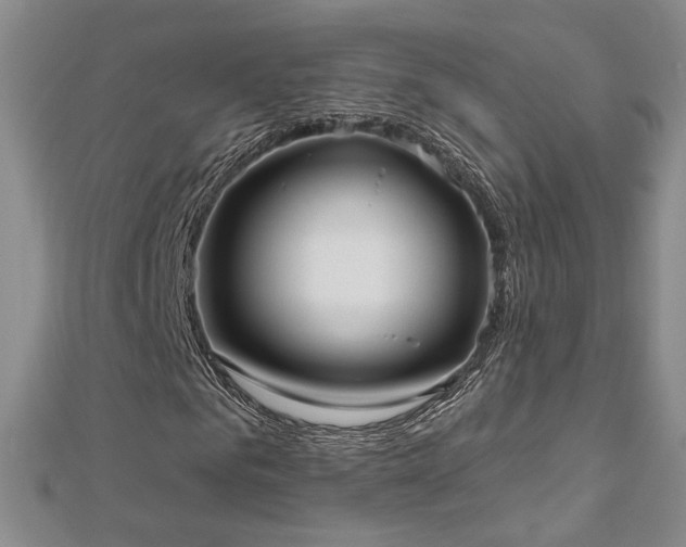 X0000112540961200908171439