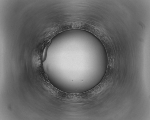 X0000112540962200908171439