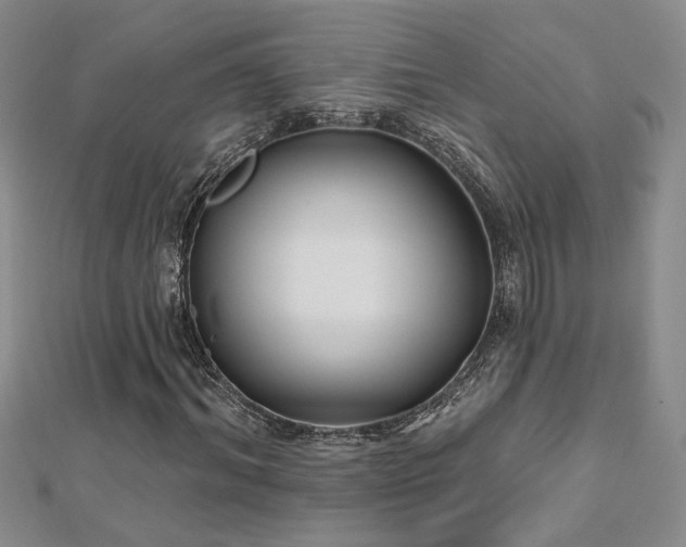 X0000112540964200908171439