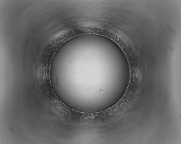 X0000112540965200908171439