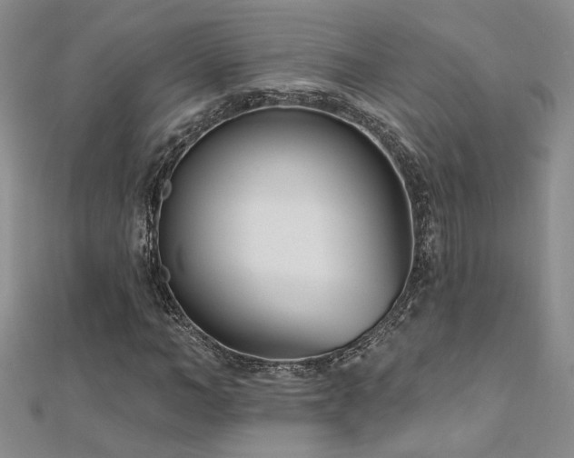 X0000112540966200908171439