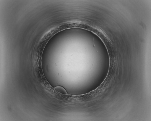 X0000112540967200908171439