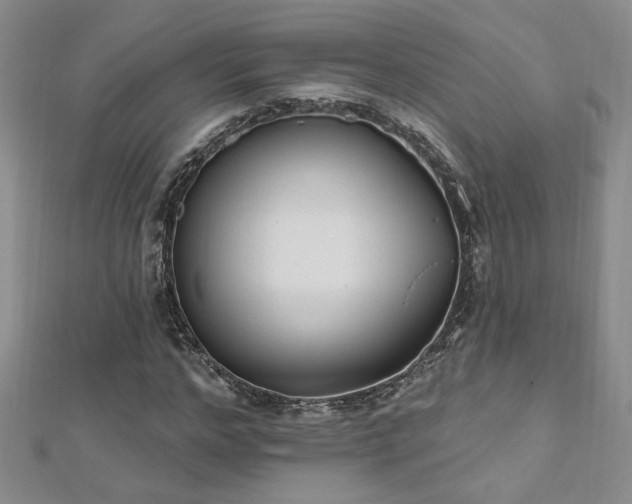X0000112540968200908171439