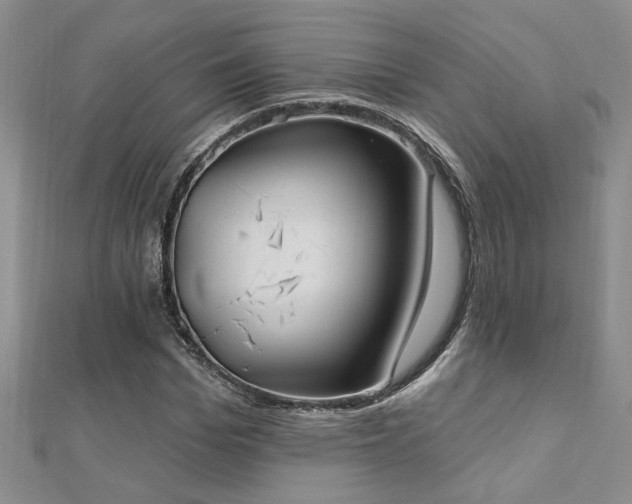 X0000112540969200908171438