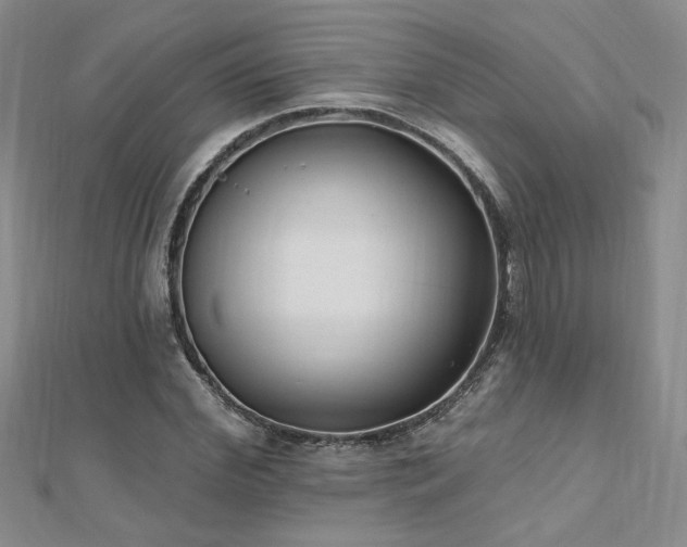 X0000112540972200908171438