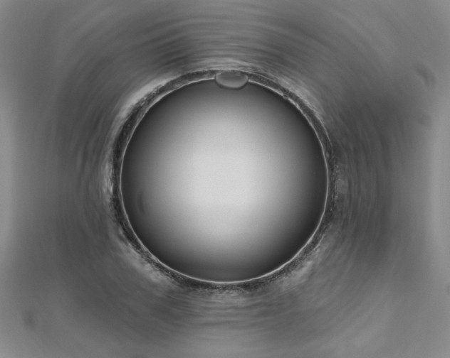 X0000112540979200908171438