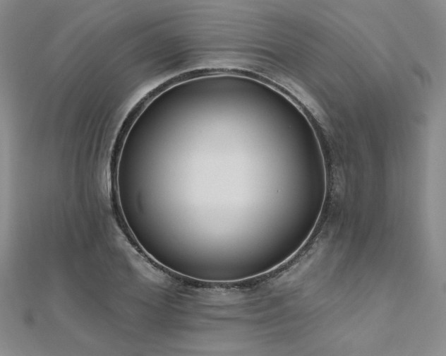 X0000112540980200908171438
