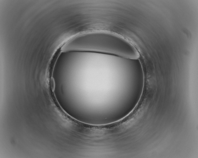 X0000112540981200908171438