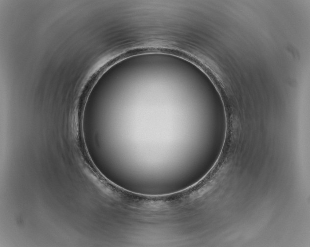 X0000112540982200908171438