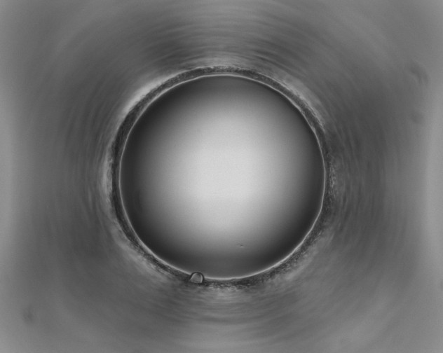X0000112540983200908171438