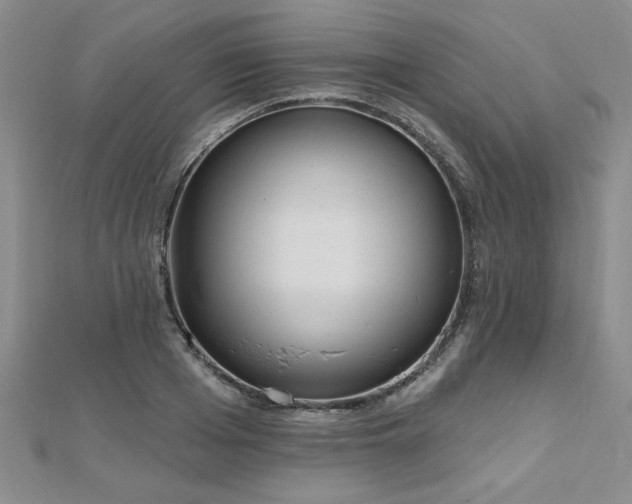 X0000112540985200908171438