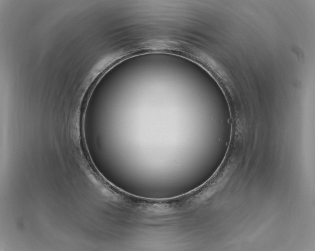 X0000112540986200908171438