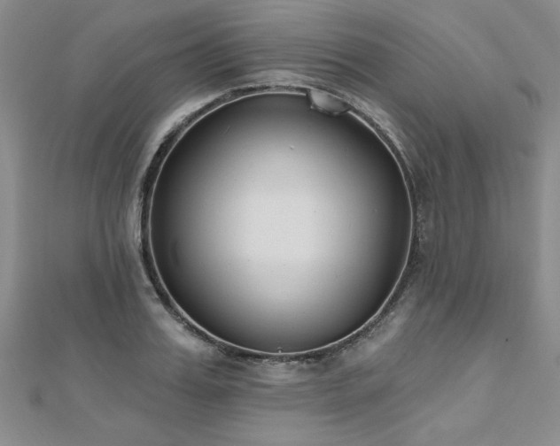 X0000112540987200908171438