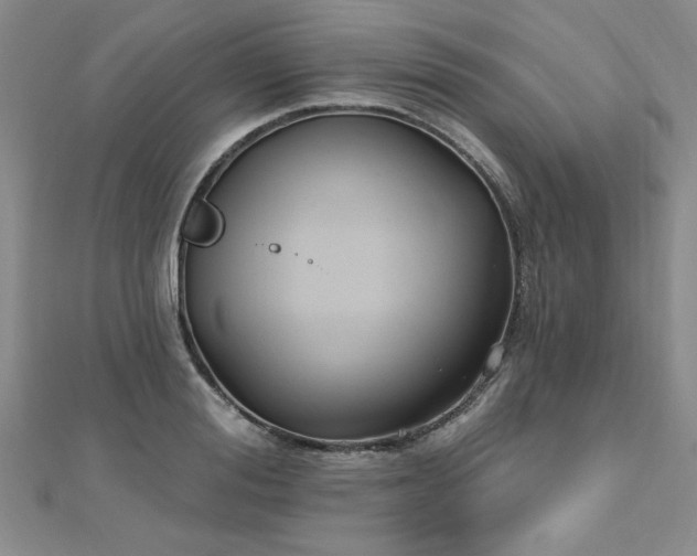 X0000112540988200908171438