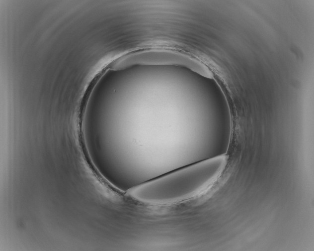 X0000112540989200908171438