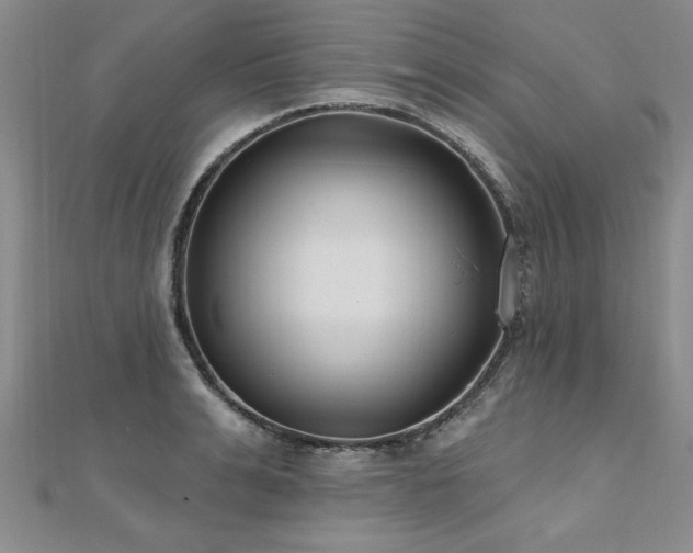 X0000112540991200908171438