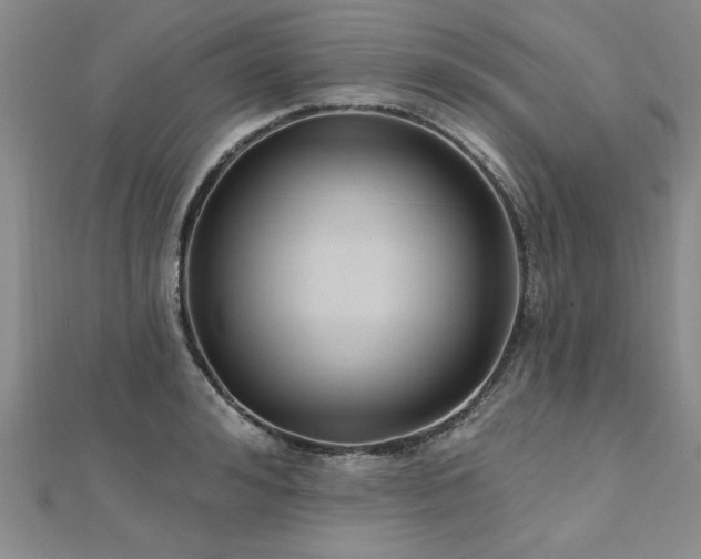 X0000112540992200908171438