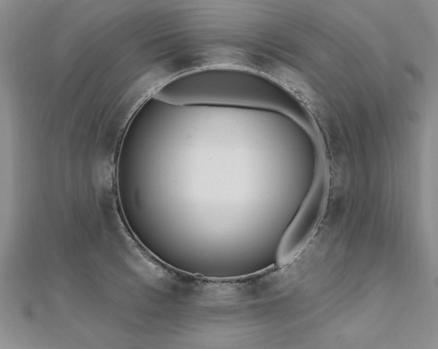 X0000112540993200908171438
