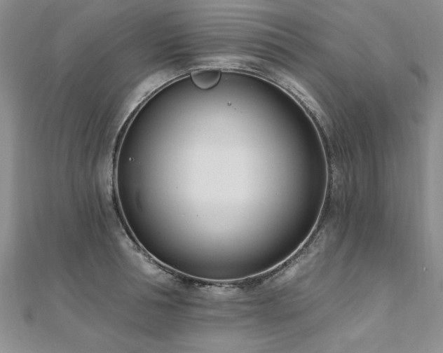 X0000112540994200908171438