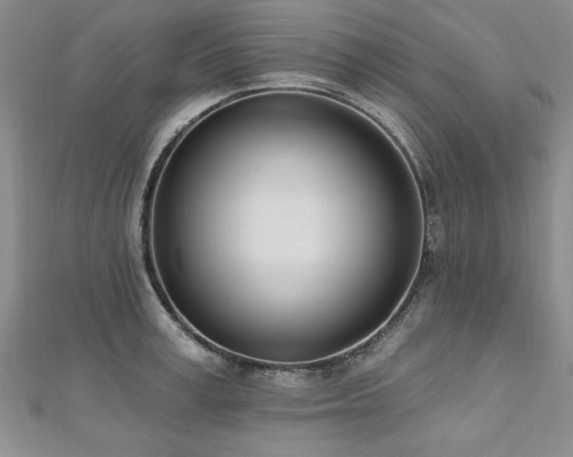 X0000112540995200908171438