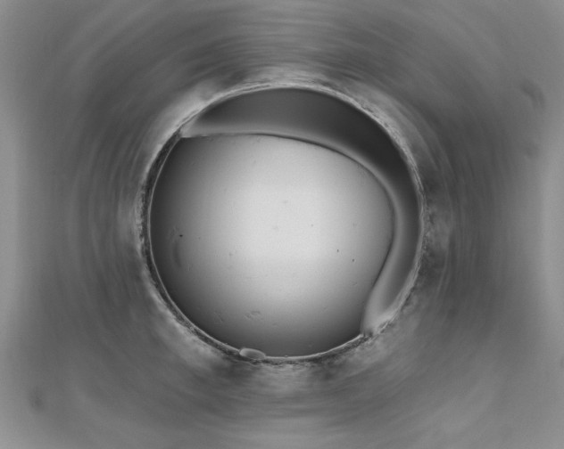 X0000112540997200908171438