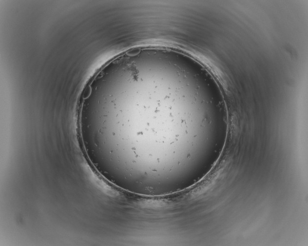 X0000112540998200908171438