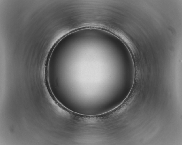 X0000112540999200908171438