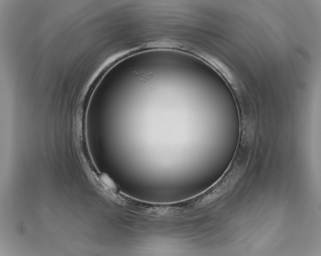 X0000112541000200908171438
