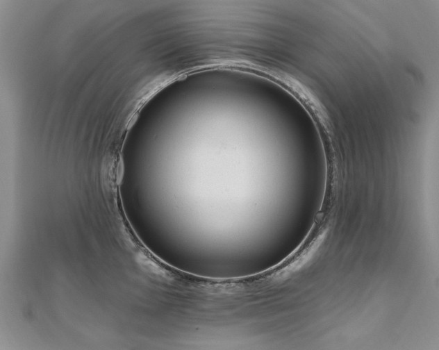 X0000112541001200908171438