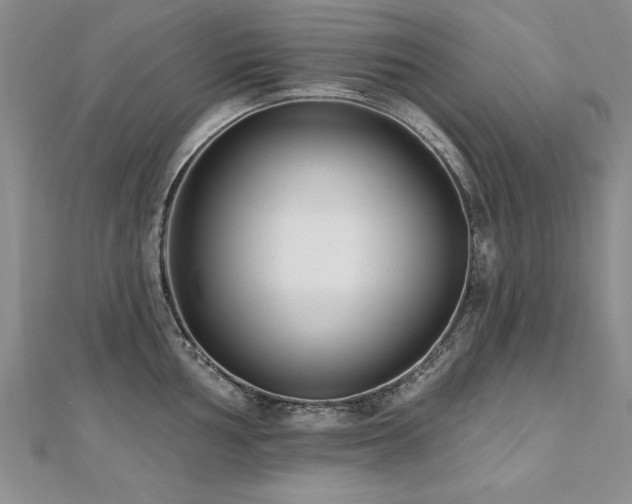 X0000112541002200908171438