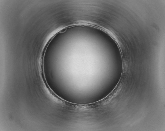 X0000112541003200908171438