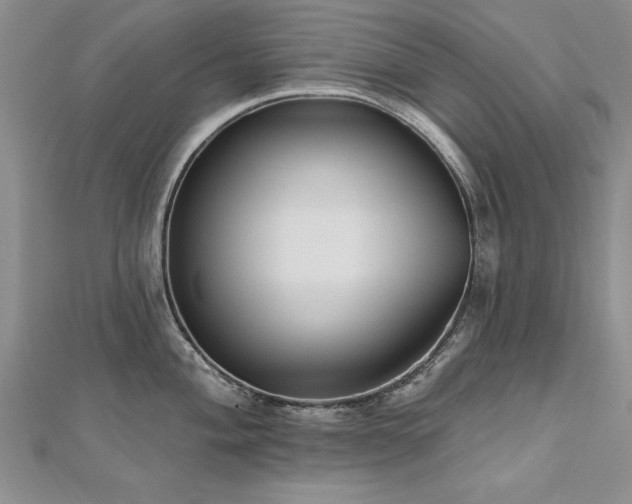 X0000112541004200908171438