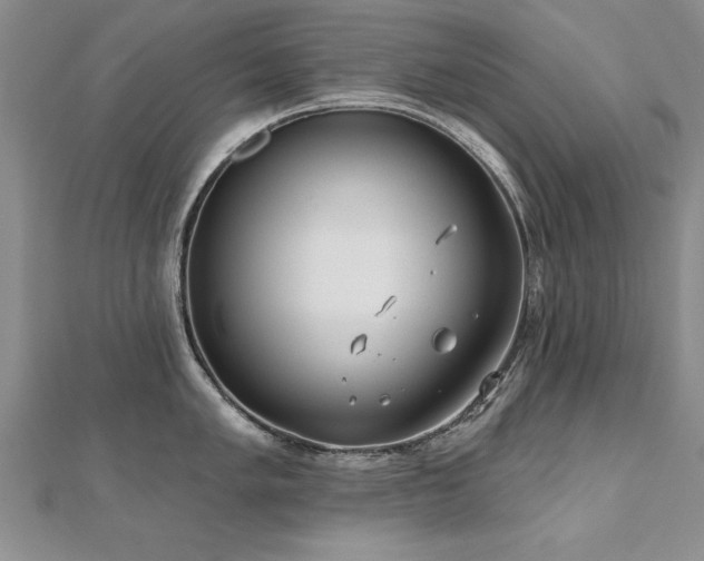 X0000112541005200908171438