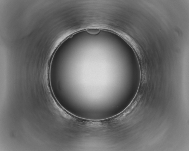 X0000112541006200908171438