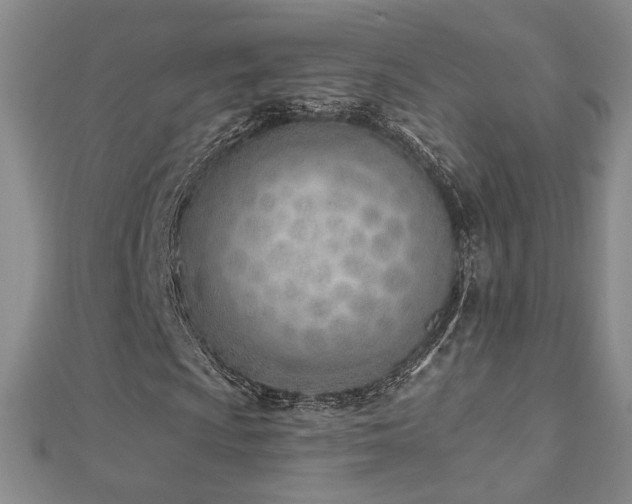 X0000112541009200908171437