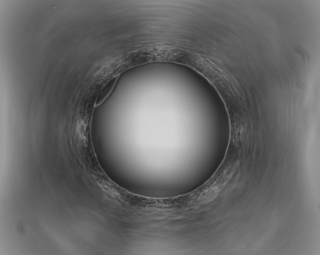 X0000112541010200908171437