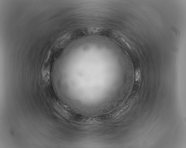 X0000112541011200908171437