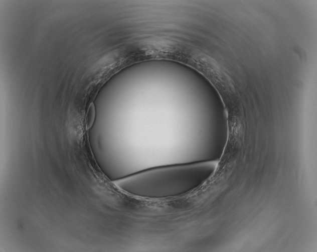 X0000112541012200908171437