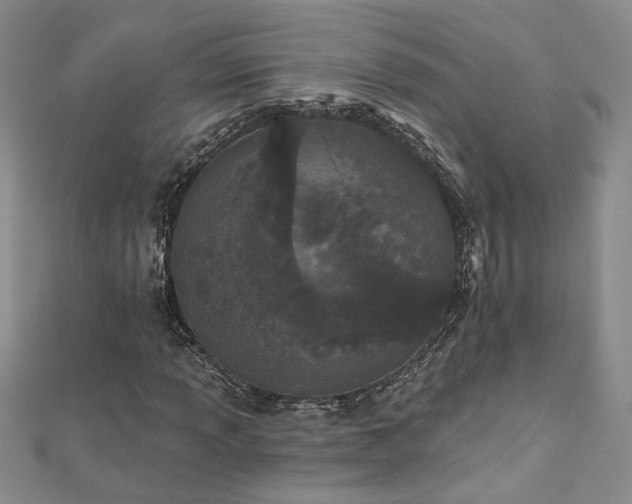 X0000112541013200908171437