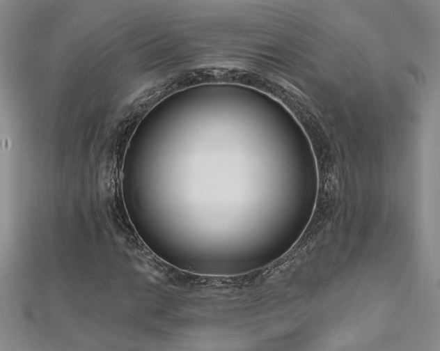 X0000112541014200908171437
