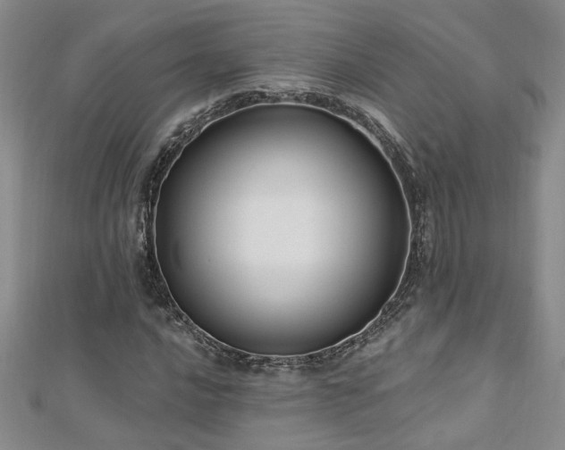 X0000112541016200908171437