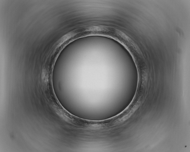 X0000112541017200908171437