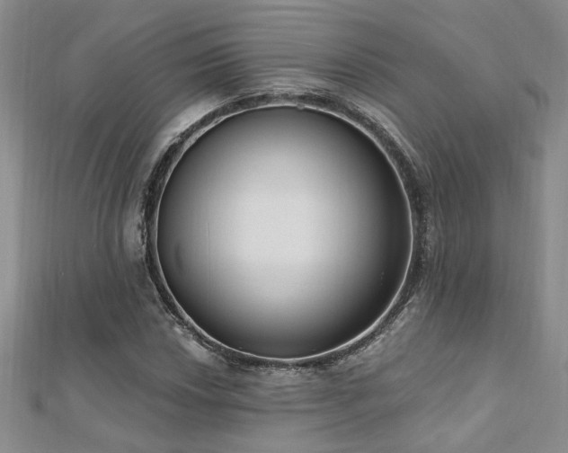 X0000112541018200908171437