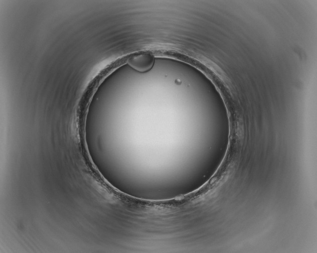 X0000112541022200908171438