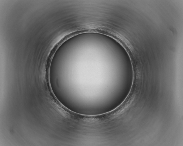X0000112541023200908171438