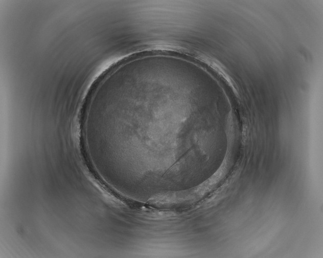 X0000112541024200908171438