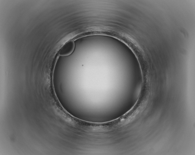 X0000112541025200908171438