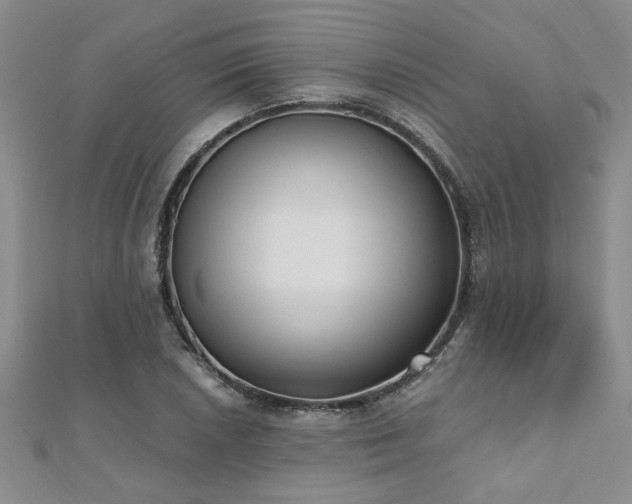X0000112541026200908171438